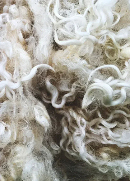 The Unmatched Elegance of Australian Wool