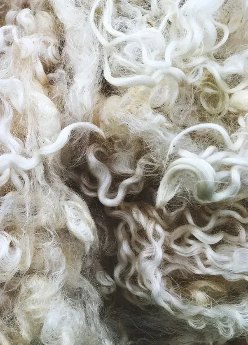 The Unmatched Elegance of Australian Wool