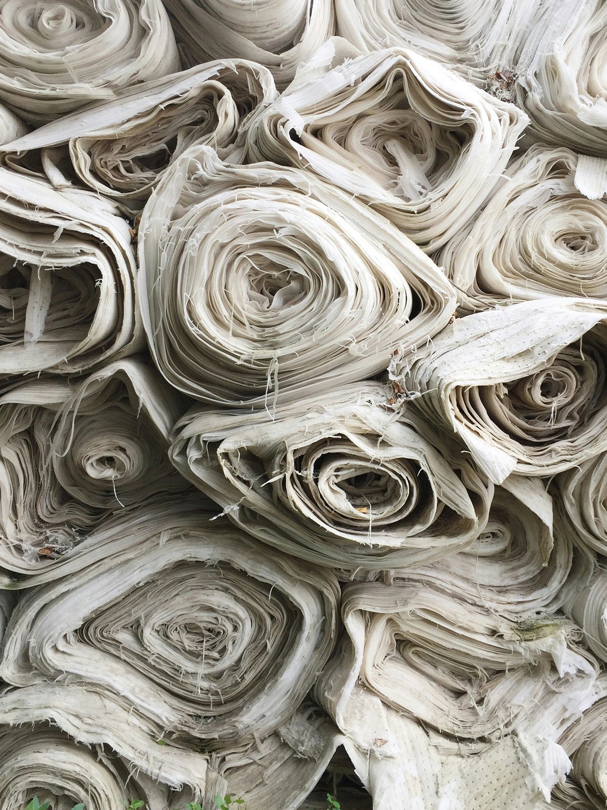 Rolls of flattened wool