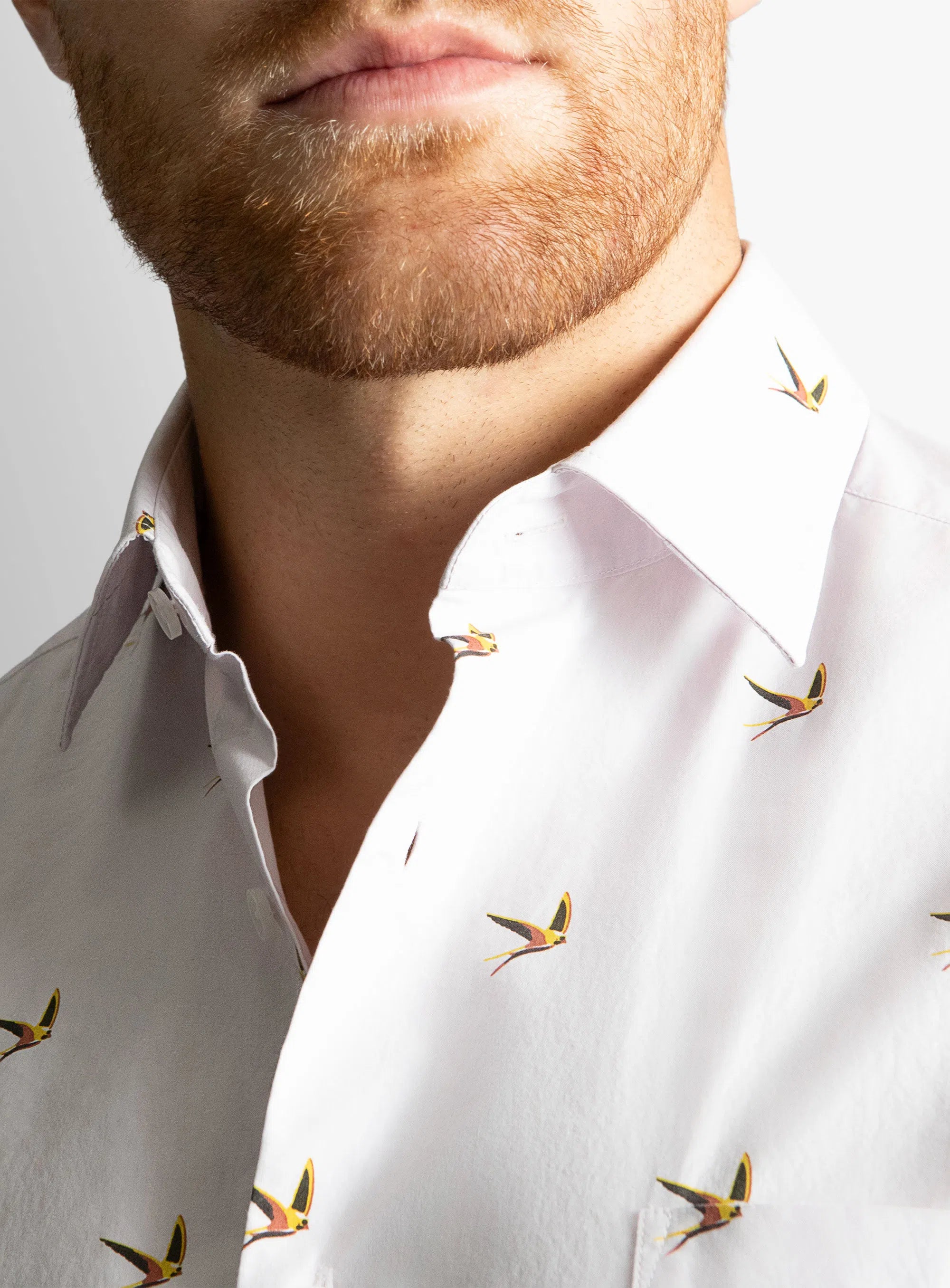 Carrara Blush Swallow Print Shirt