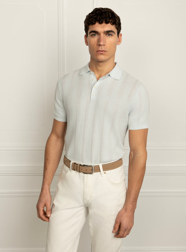Cavazza Stripe Sky Blue Knit Polo Shirt