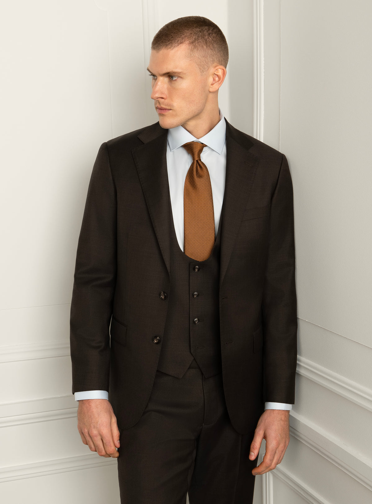 Sartor Sharkskin Brown Suit
