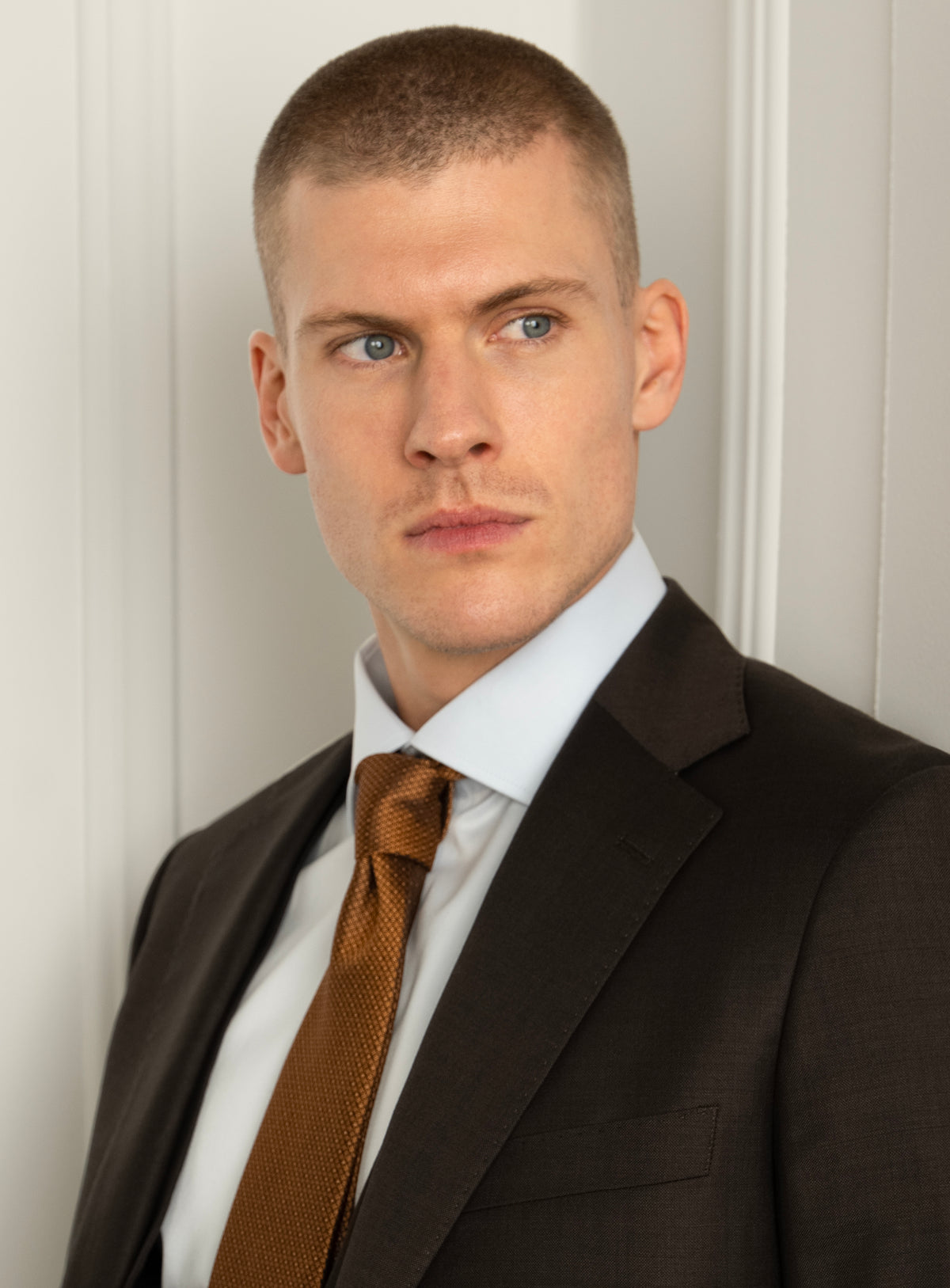 Sartor Sharkskin Brown Suit