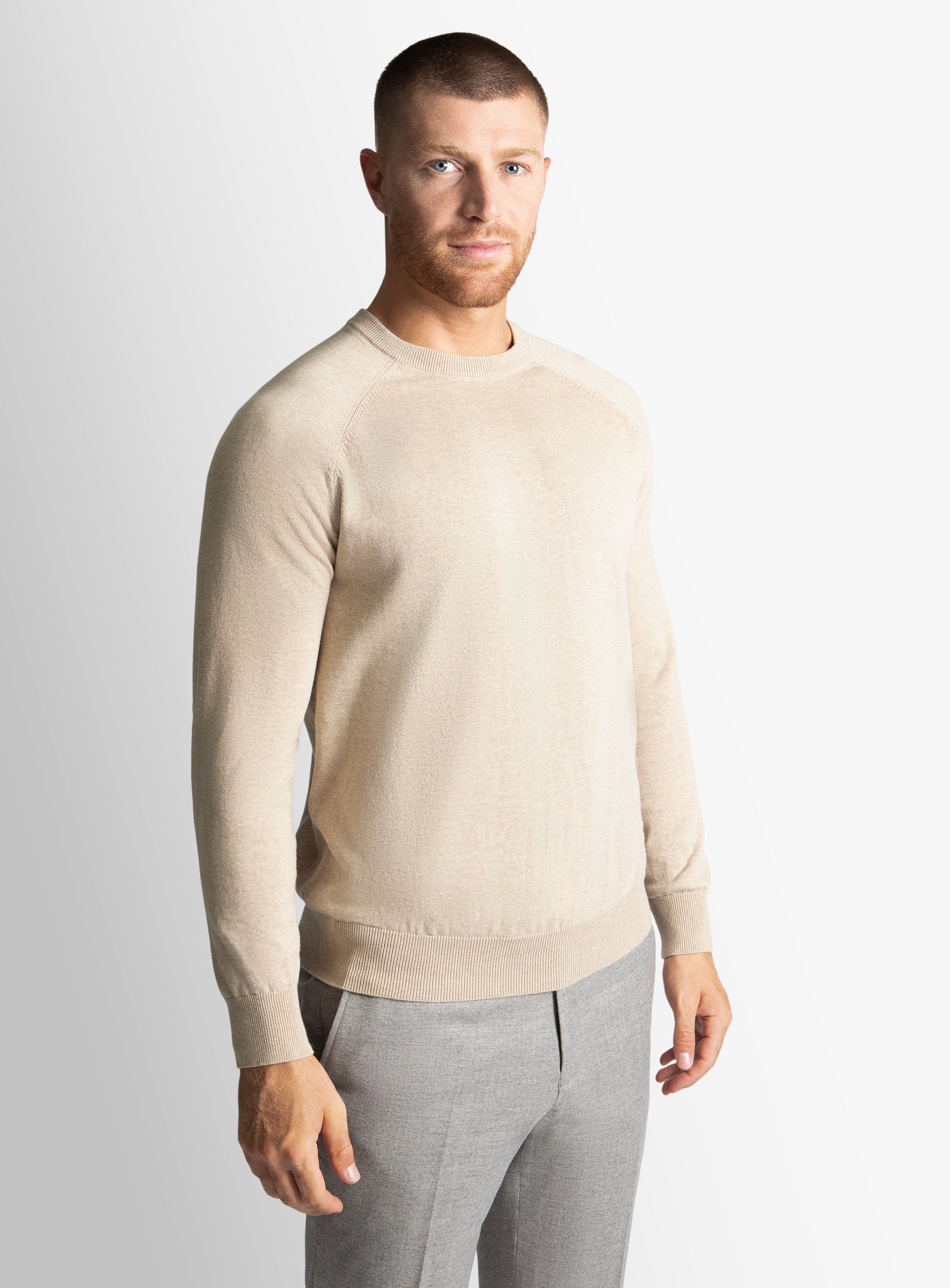 Taupe Cotton Casual Crewneck Knit