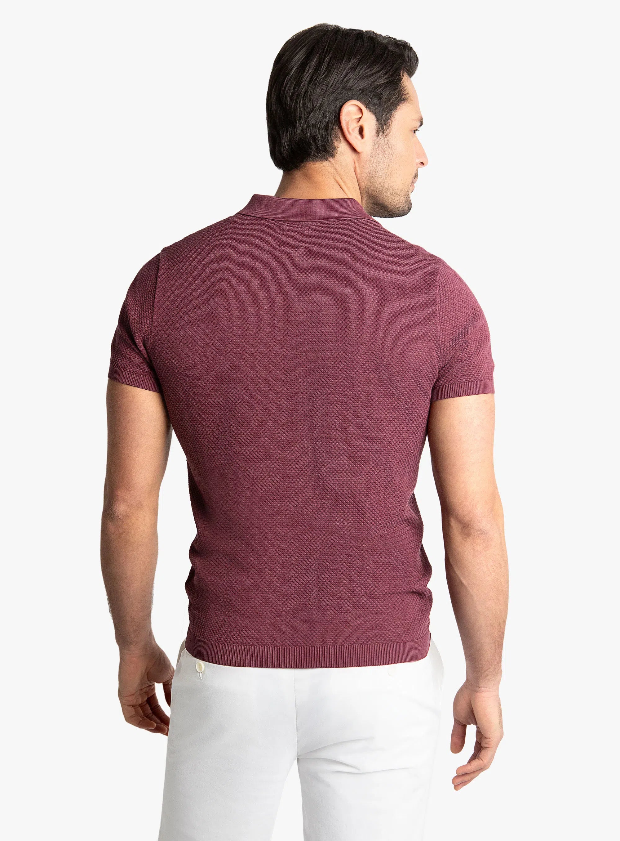Orta Textured Short Sleeve Plum Knit Polo